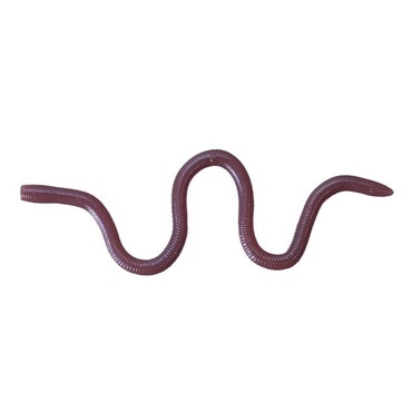 OSP MMZ チビ W050ミミズゥ