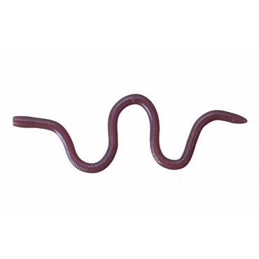 OSP ワーム MMZ デカ W050ミミズゥ 6403050