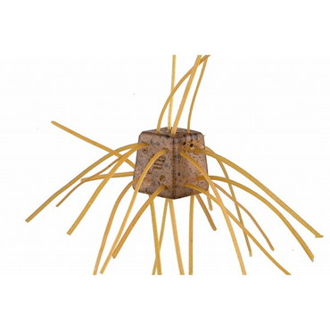 OSP ワーム サイコロラバー NONSALT SR08 常勝シュリンプ