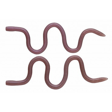 OSP ワーム MMZ ナミ TW198なちゅらるみみずぅ