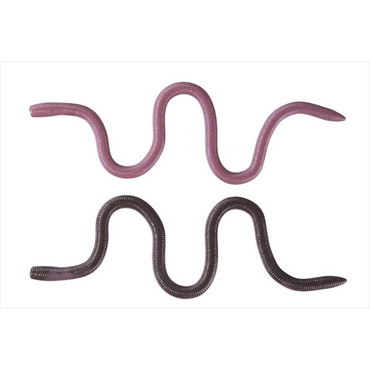 OSP オーエスピー ワーム MMZ デカ TWF203イソメン(高浮力)