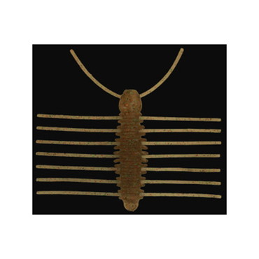 イマカツ　三原虫（エコ対応品）　＃Ｓ－３５６　レイダウンシュリンプ