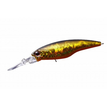 ＯＳＰ　ＨＩＧＨＣＵＴ（ハイカット）　Ｆ　黒金オレンジベリー