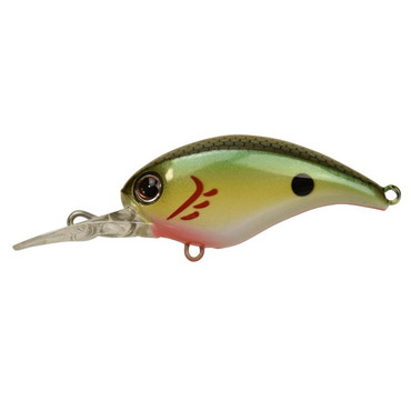 DSTYLE(ディスタイル) クロールアップ(CRAWL-UP) ゴールデンボンバー