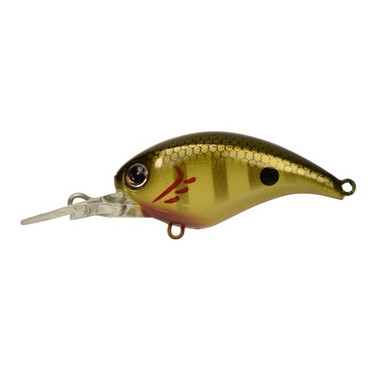 DSTYLE(ディスタイル) クロールアップ(CRAWL-UP) チャートギル