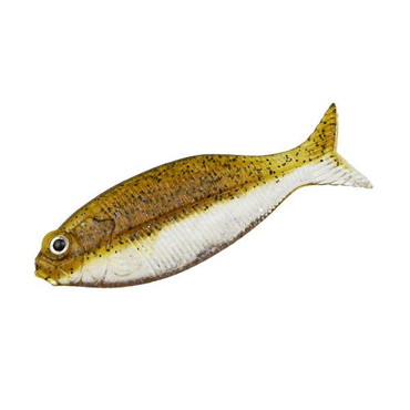 ＤＳＴＹＬＥ ディスタイル ワーム ギルーラ2.5インチ グリパンフィッシュ