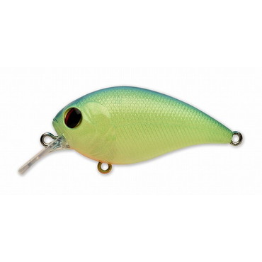 ペイフォワード ワンエイトSR #001 ブルーバックチャート