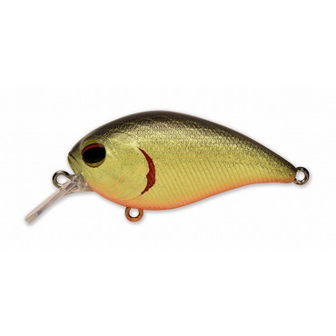 ペイフォワード ワンエイトSR #002 ブラックバックチャート