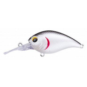 ペイフォワード ワンエイトMR #005 ホワイトベース