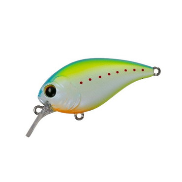 ペイフォワード ワンエイトSR #013 シトラスチャート