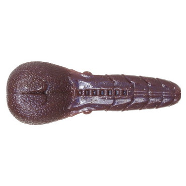 一誠 イッセイ ワーム AKパンチ3.3　#46 アカマツSP