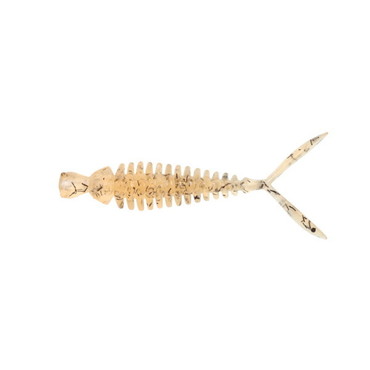 一誠 イッセイ ワーム ハンハントレーラー 2.6インチ #82 スジエビ