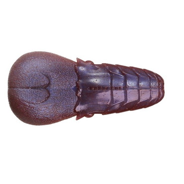 一誠 イッセイ ワーム AKパンチフラット 4インチ #46 アカマツSP