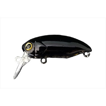 ティモン　デカミッツＤＲＹ　マサの黒ケイムラ