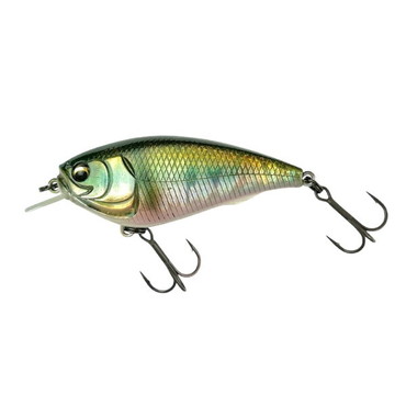 イマカツ バスルアー ゲキアサフラット スタンダードカラー #758 セクシーオイカワ