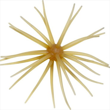 ハイドアップ ワーム 旧コイケ ソフトマテリアル #263 クリリンキントキ