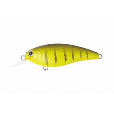 ボトムアップ リズィー(REAZZY) K.O.タイガー