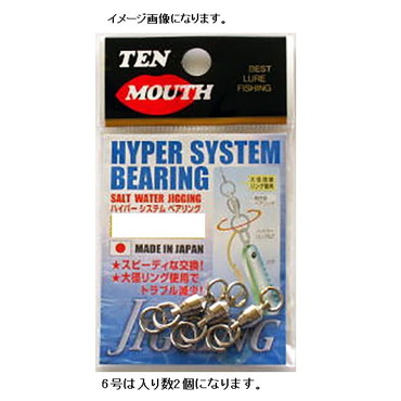 エヌティスイベル TMハイパーシステムベアリング(ニッケル)D40 6
