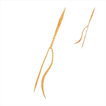 シマノ タイラバ 鯛ラバ ED-X02U 炎月 ミックスストレート 002 オレンジゴールド