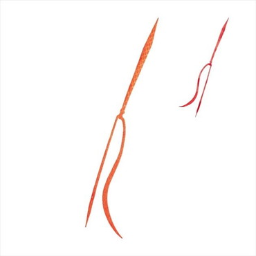 シマノ タイラバ 鯛ラバ ED-X02U 炎月 ミックスストレート 007 アピールレッド