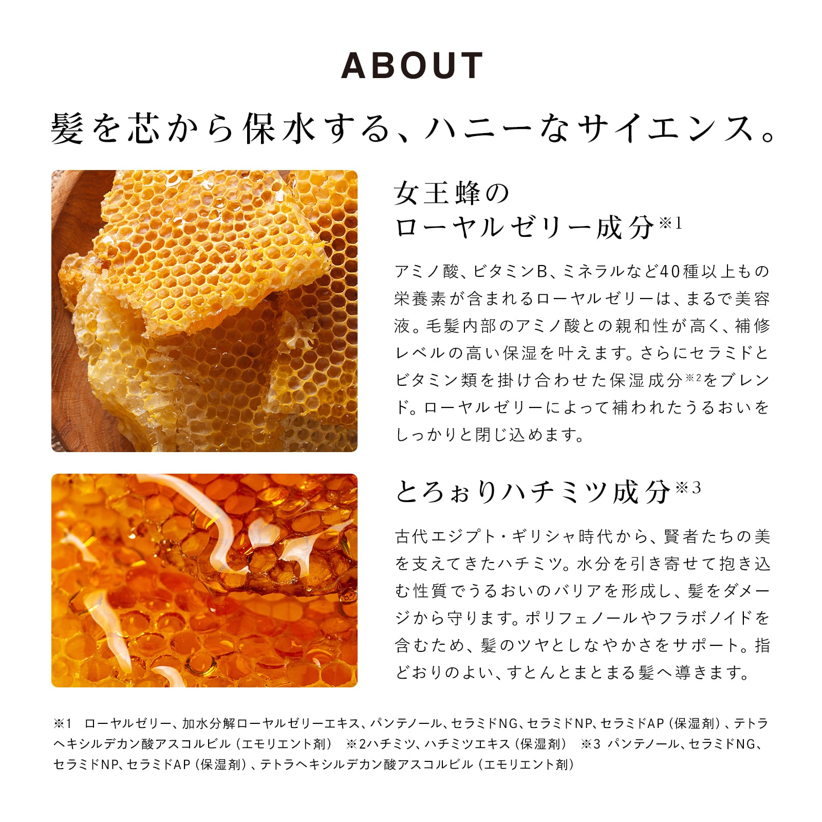 リファハニークイーンシャンプー 450mL & リファハニークイーントリートメント450g ×2 セット