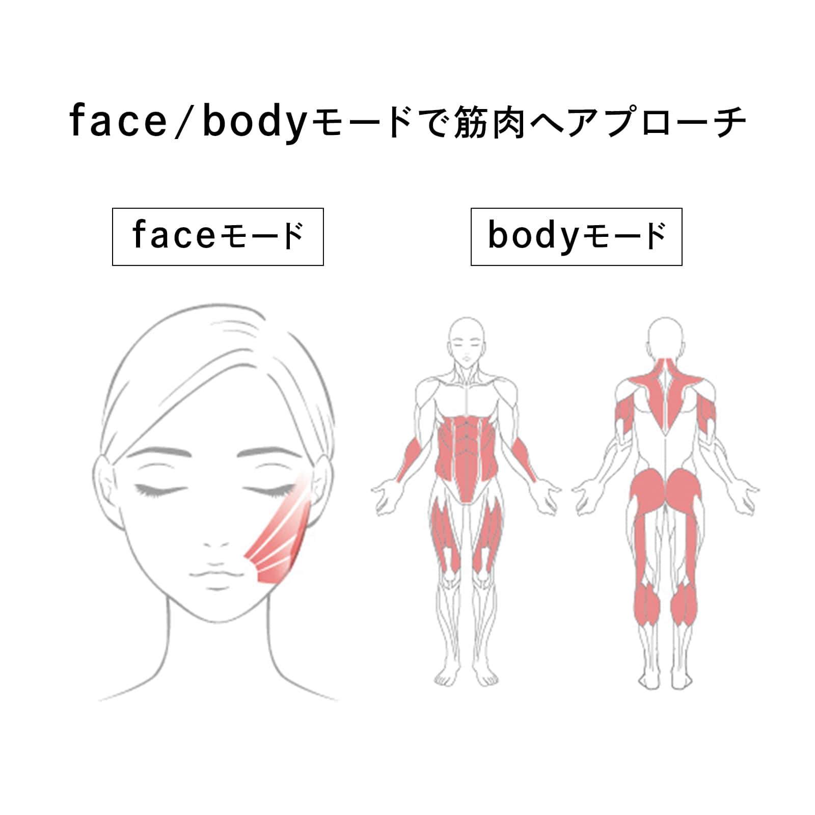 リファカラットリフト