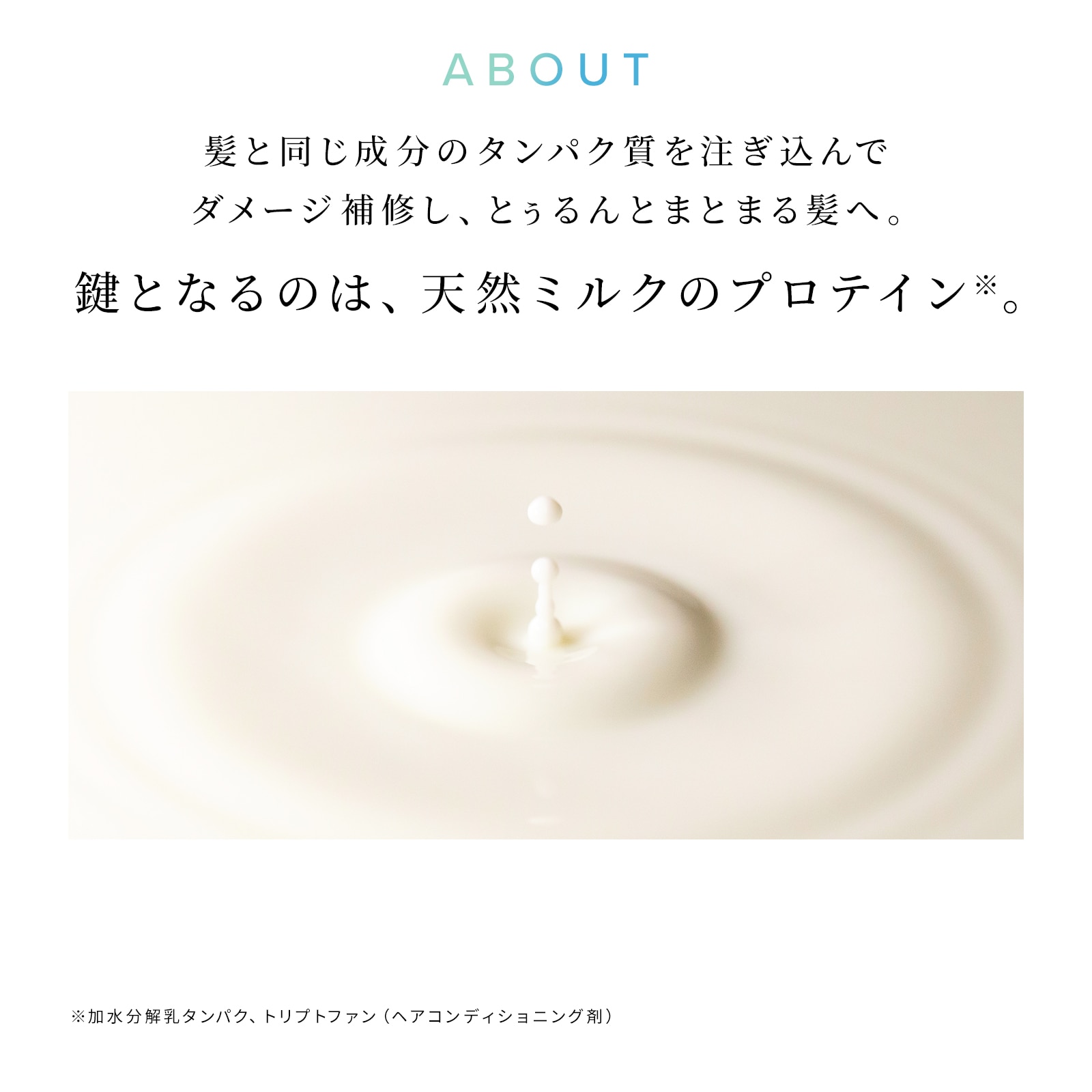 ミルクプロテインシャンプーストレート & トリートメント & アウトバストリートメント & ReFa ショッパー スリムM 2026spring