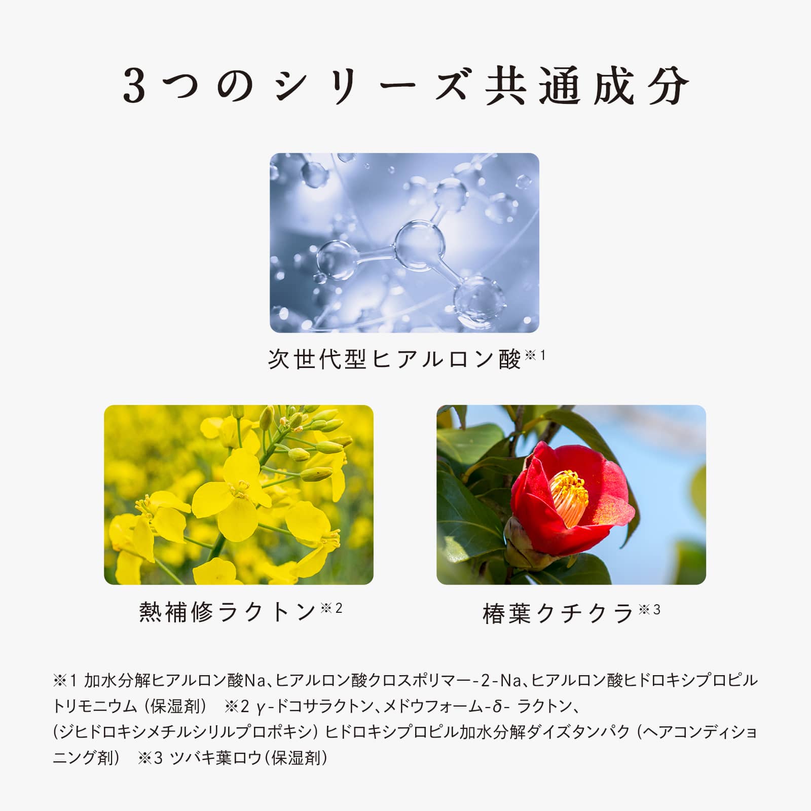 リファビューテックマスク(ブラック) ブラック