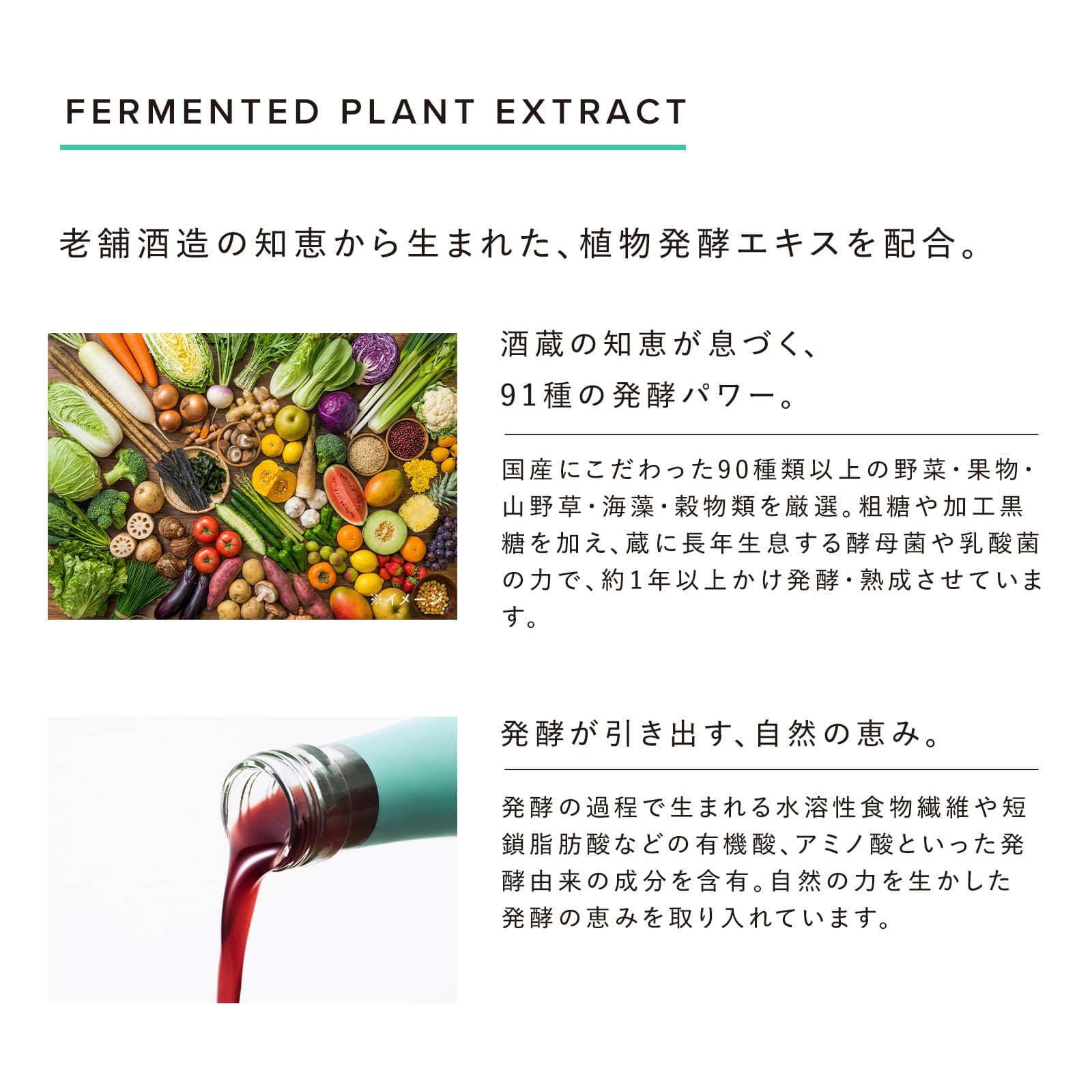 リファライトアップバイオティクス