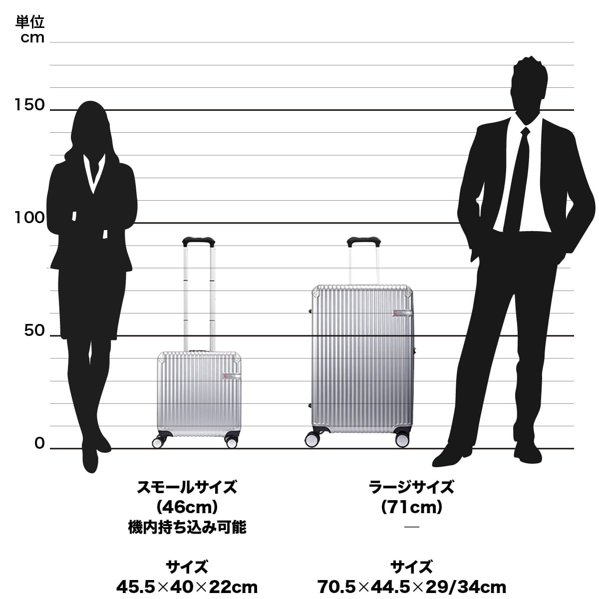 S-0101様専用2枚 高額売筋 - 邦画