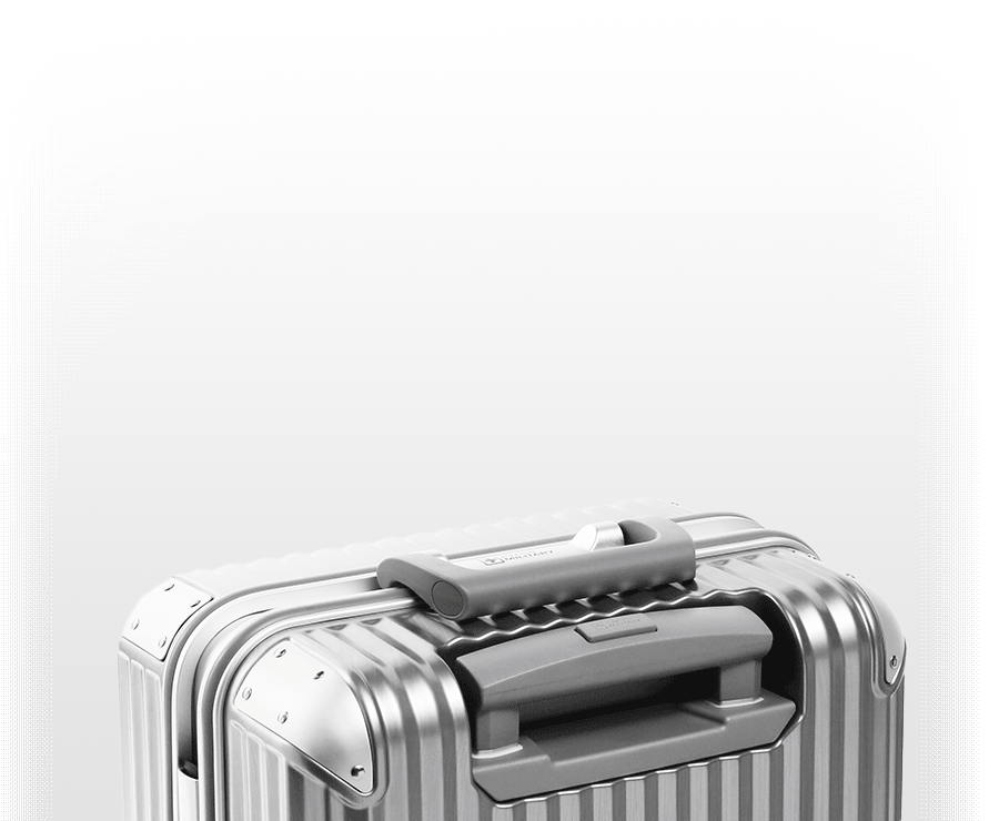 スーツケース Mサイズ 4～6泊 64cm 67L TSAロック カバー/ネームタグ付 