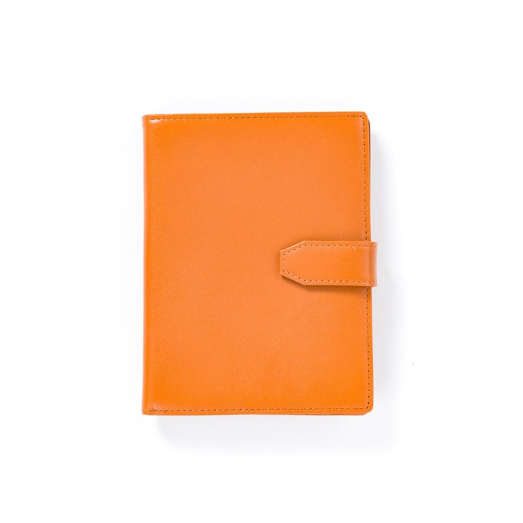 [Snobbist]一目瞭然 通院ウォレット お薬手帳 ケース　ライトブラウン [名入れ無料]