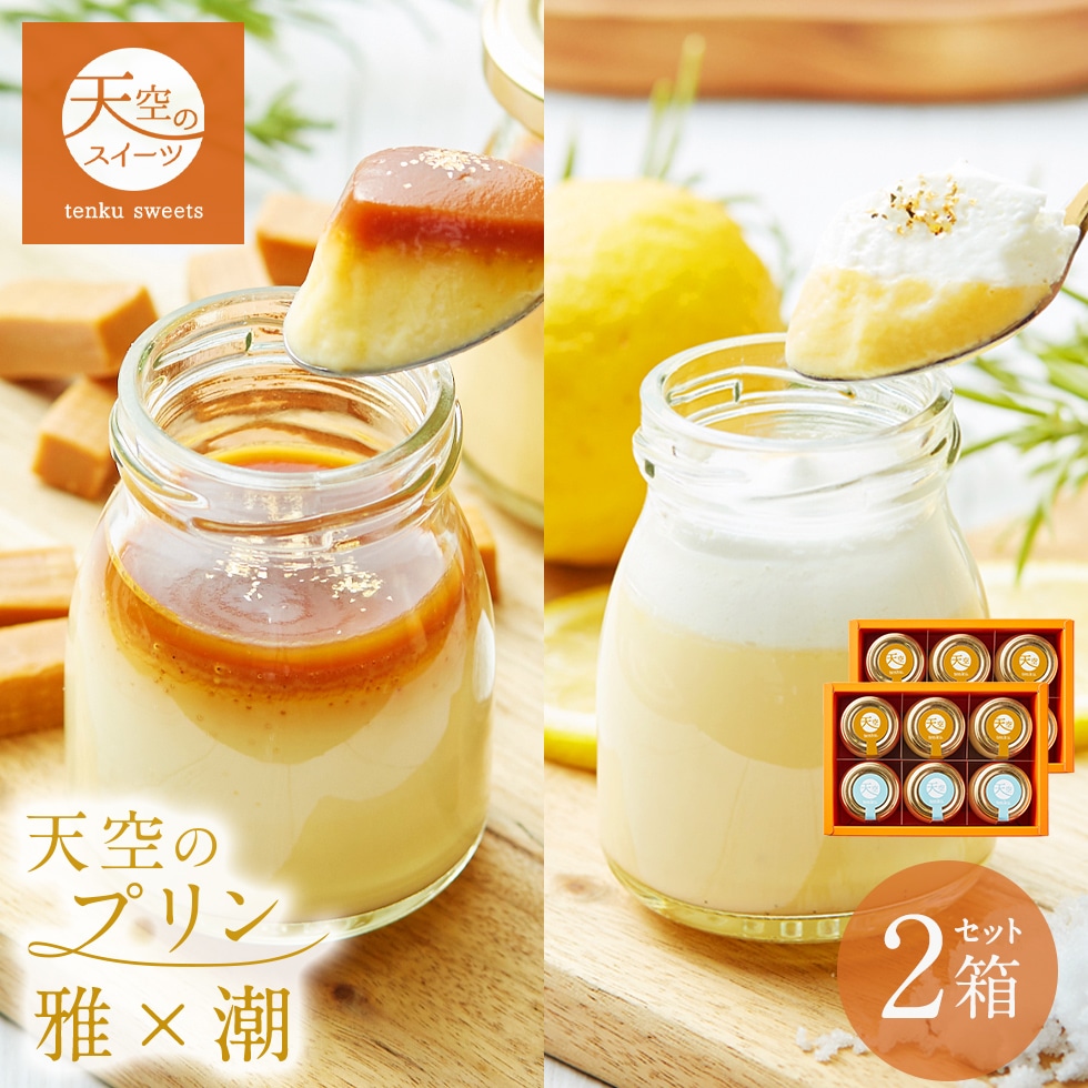 母の日 ギフト 天空のプリン 雅(みやび) × 潮(塩バニラ) 2箱セット キャラメル スイーツ プリン 父の日 洋菓子 贈り物 誕生日 お礼 記念日 送料無料 お祝い プレゼント