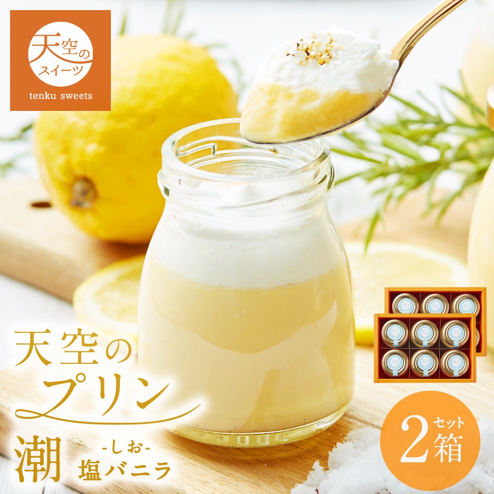 母の日 ギフト 天空のプリン 潮 塩バニラ 6個 2箱セット ギフト スイーツ 最高級 洋菓子 父の日 贈り物 誕生日 お礼 記念日 送料無料 お祝い プレゼント