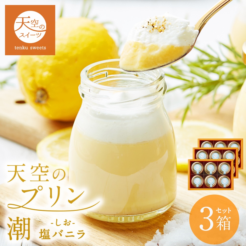 母の日 ギフト 天空のプリン 潮 塩バニラ 6個 3箱セット ギフト スイーツ 最高級 洋菓子 父の日 贈り物 誕生日 お礼 記念日 送料無料 お祝い プレゼント