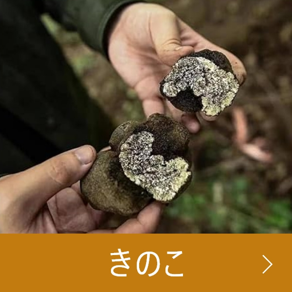 きのこ