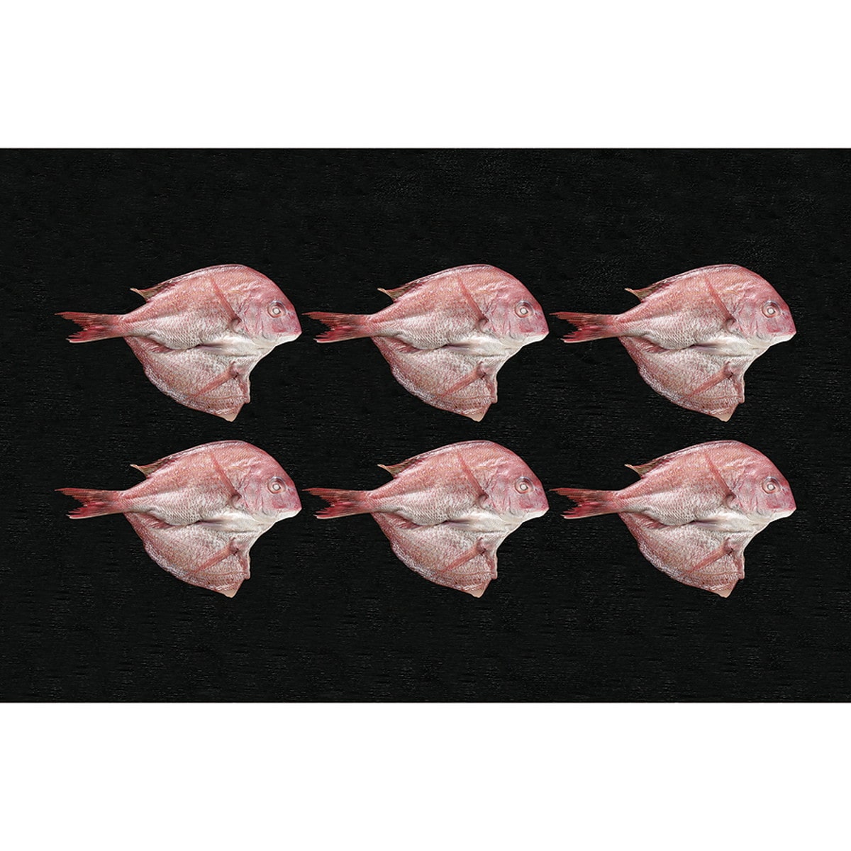 天草天然真鯛ささ塩干