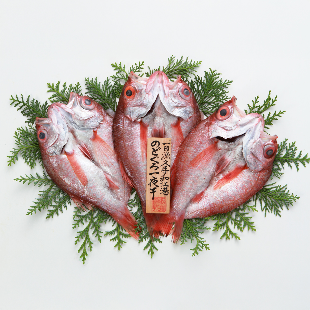 一日漁 のどぐろ 一夜干し 天日塩 岡富商店〔3~5枚 計660g〕