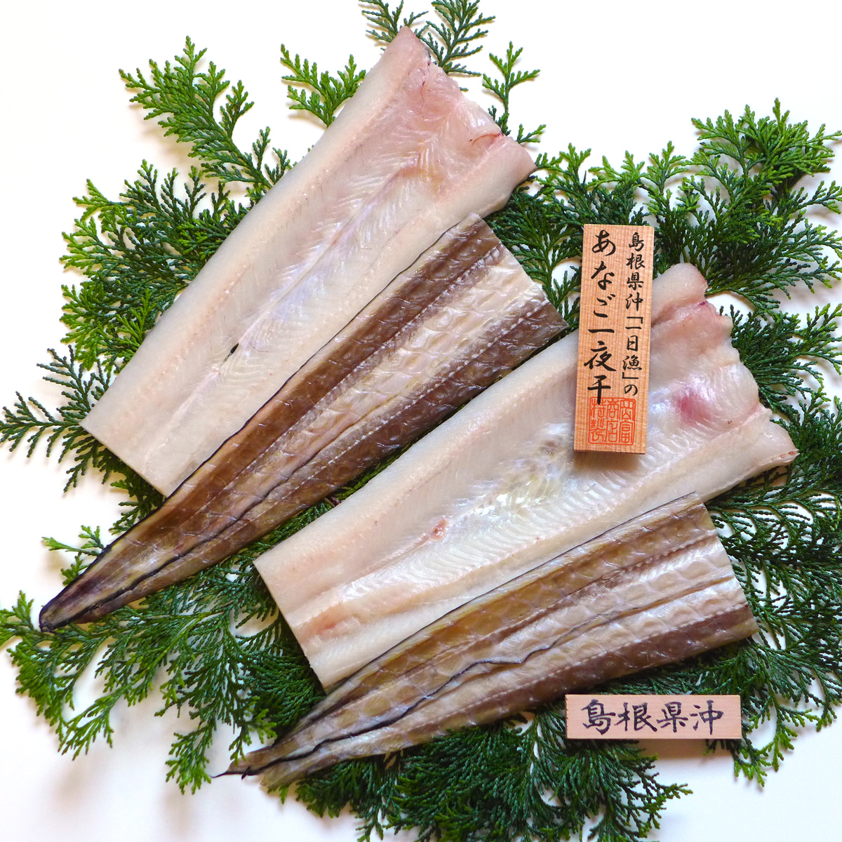 天女の羽衣 あなご 一夜干し 詰め合わせ 岡富商店〔250g×2尾〕