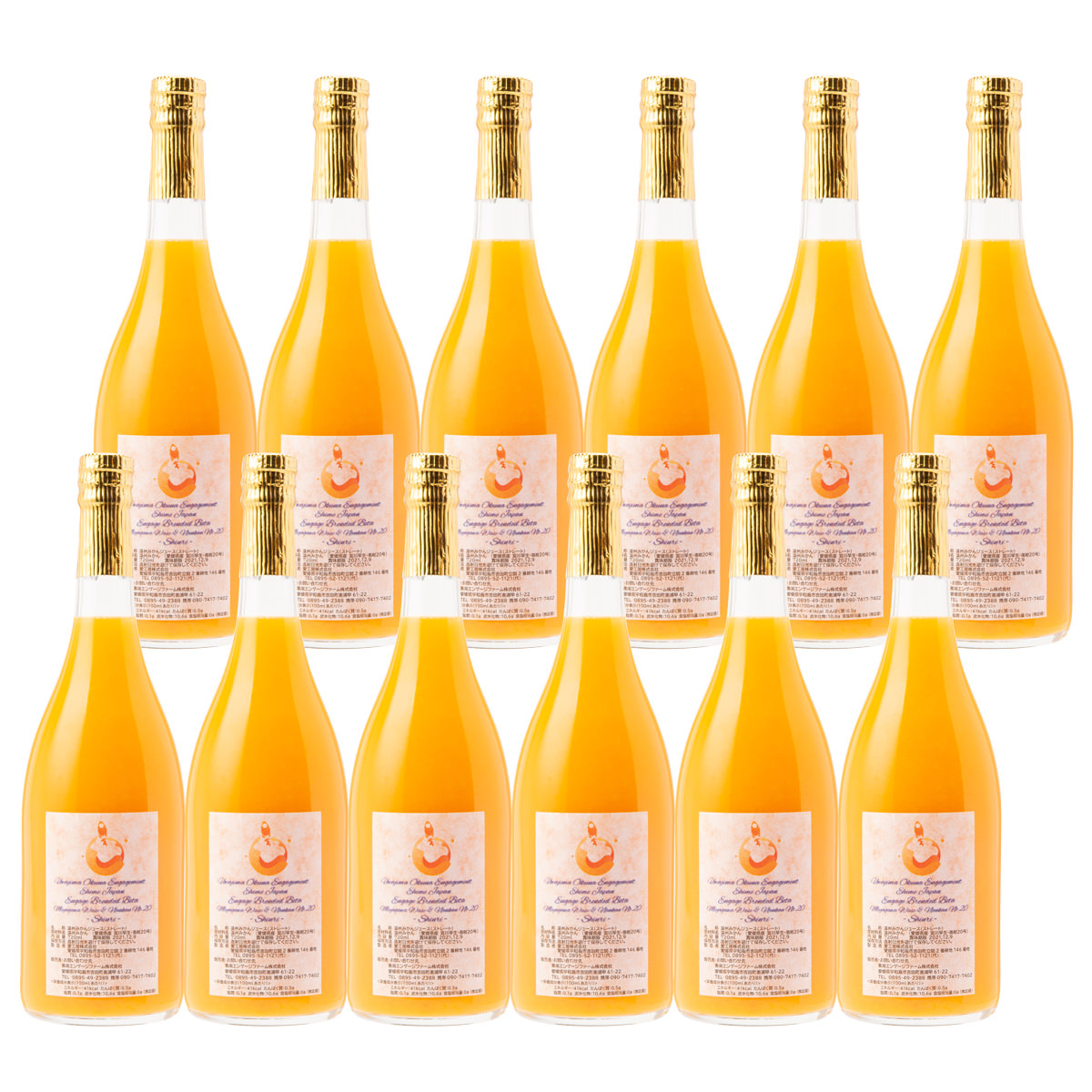 温州みかんジュース 自家農園産ブレンド β 宮川早生 南柑20号 シンリ 12本 〔720ml×12〕