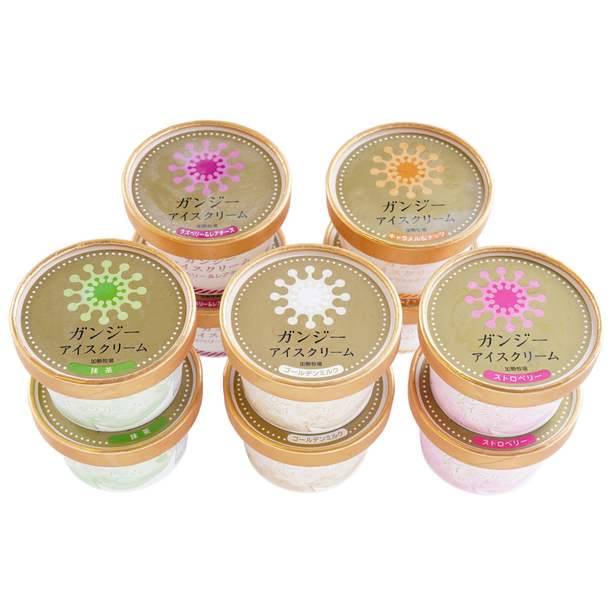 加勢牧場 ガンジーアイスクリーム 食べ比べ ギフトセット〔ストロベリー ほか全5種 各90ml×2〕