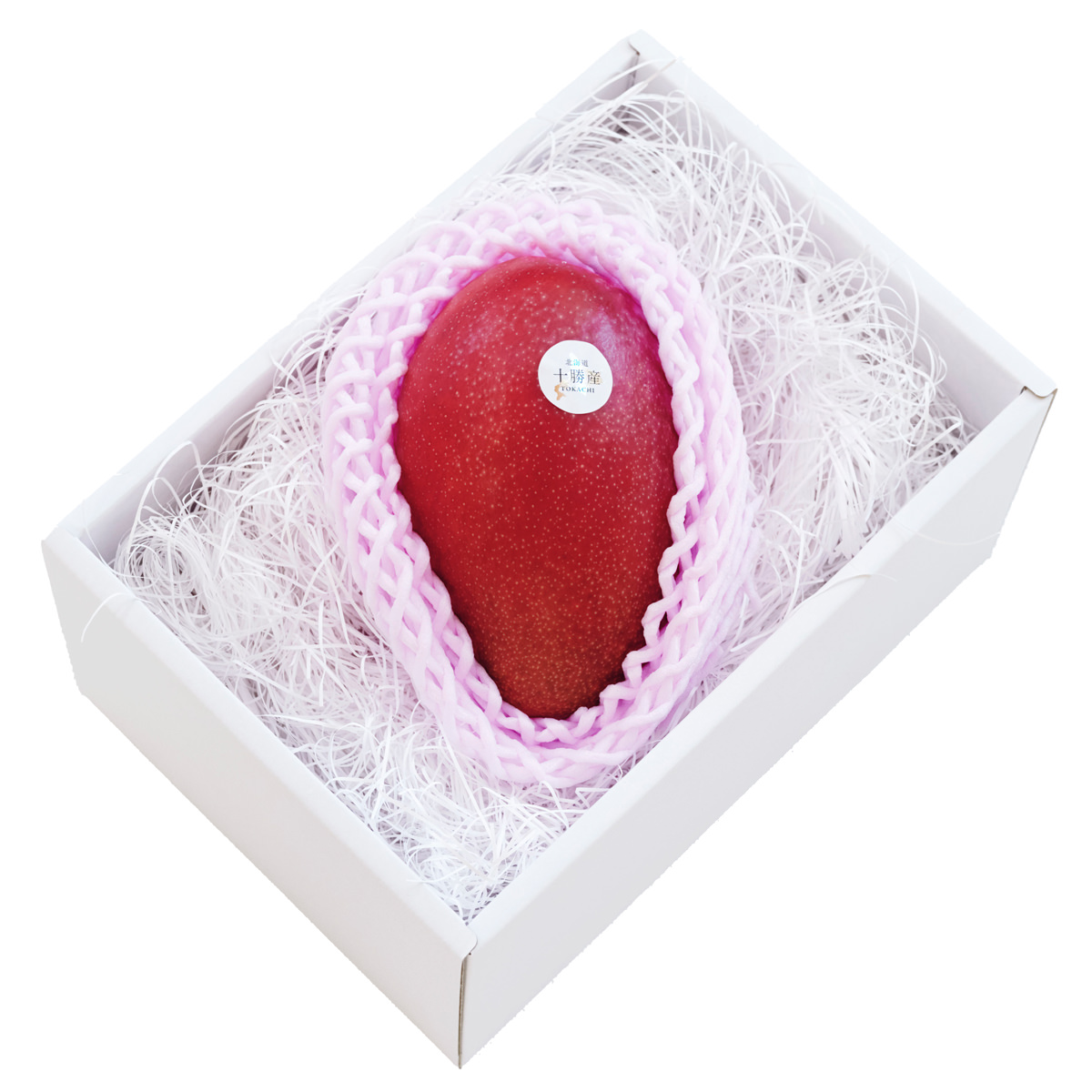  フラワーオブザマン  23枚 flower♡ Megaman ZX : Find the Flower Mission - YouTube