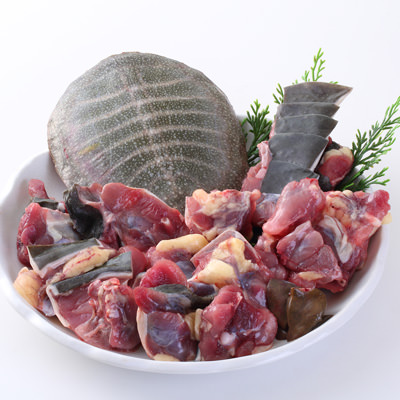 かけ流しの天然温泉で育てた柔らかさが自慢! 耶馬溪鍋用すっぽん切り身(冷凍) 耶馬溪すっぽん・大分県