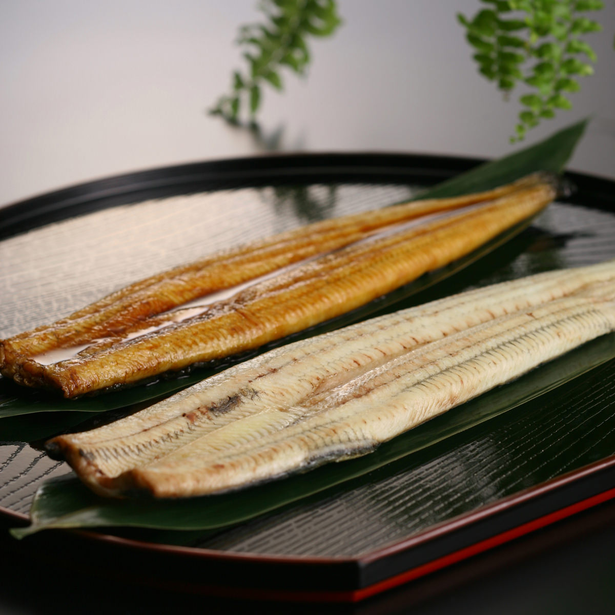 浜松 浜名湖 うなぎ蒲焼 白焼 4人前 長焼き 〔うなぎ蒲焼×2、うなぎ白焼×2、たれ山椒×2、醤油×2、わさび×2、粉末吸物×4〕【沖縄県・離島 配送不可】