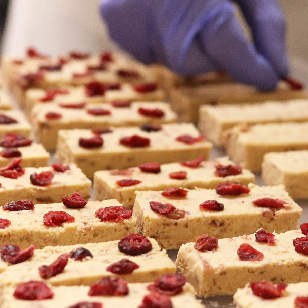 武蔵野茶房 チーズケーキサンド -CHEESECAKE SAND- いちごベリー 〔6個×4〕