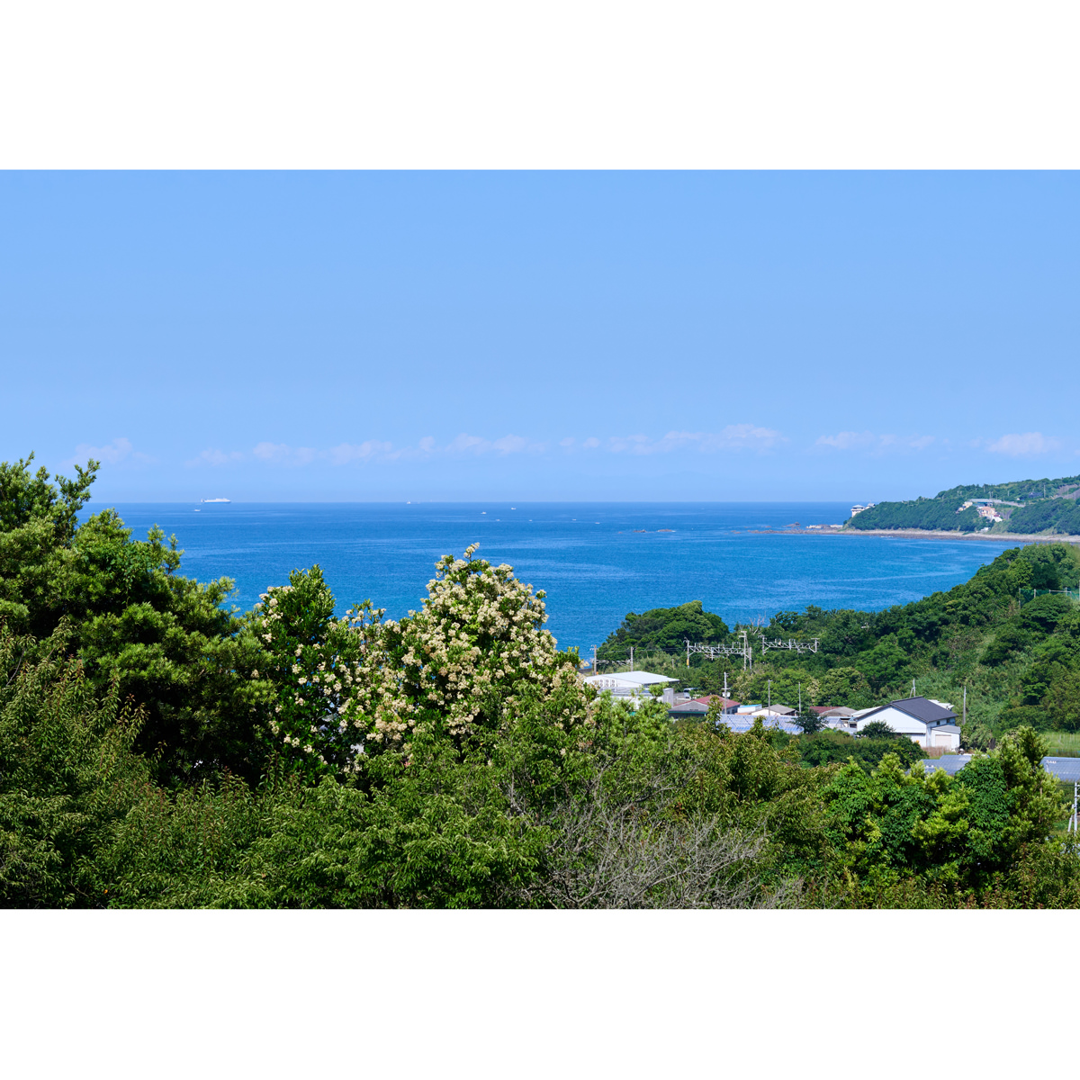 Plumity White 吟醸酒仕込み 南高 梅酒 〔720ml〕