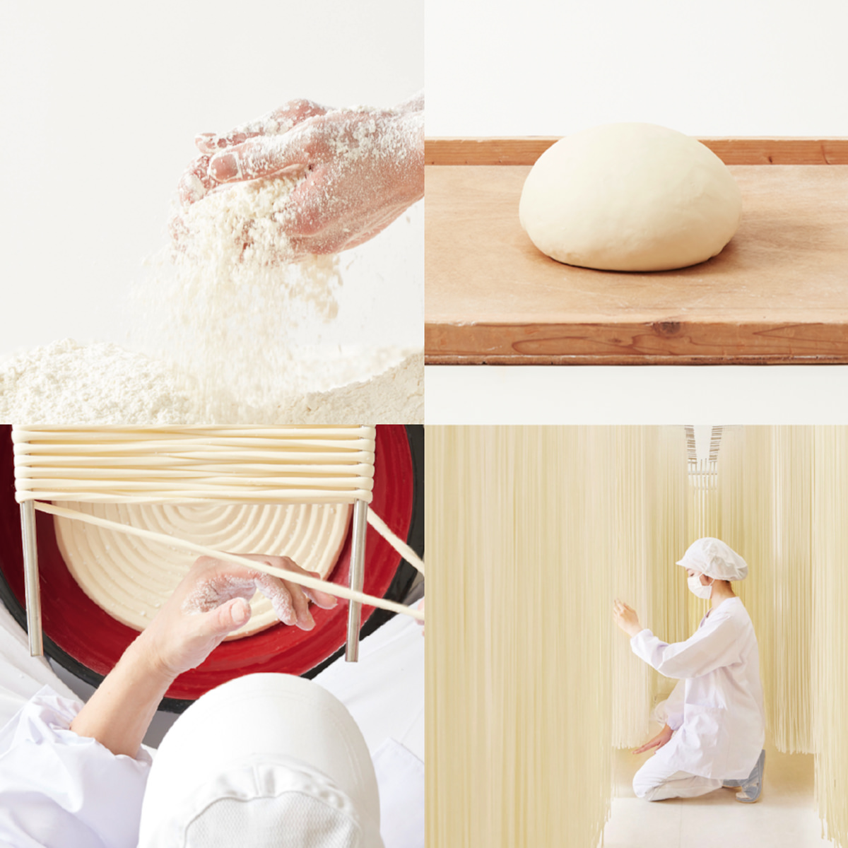 秋田 稲庭うどん 化粧箱入 〔100g×8束〕【沖縄県・離島 配送不可】