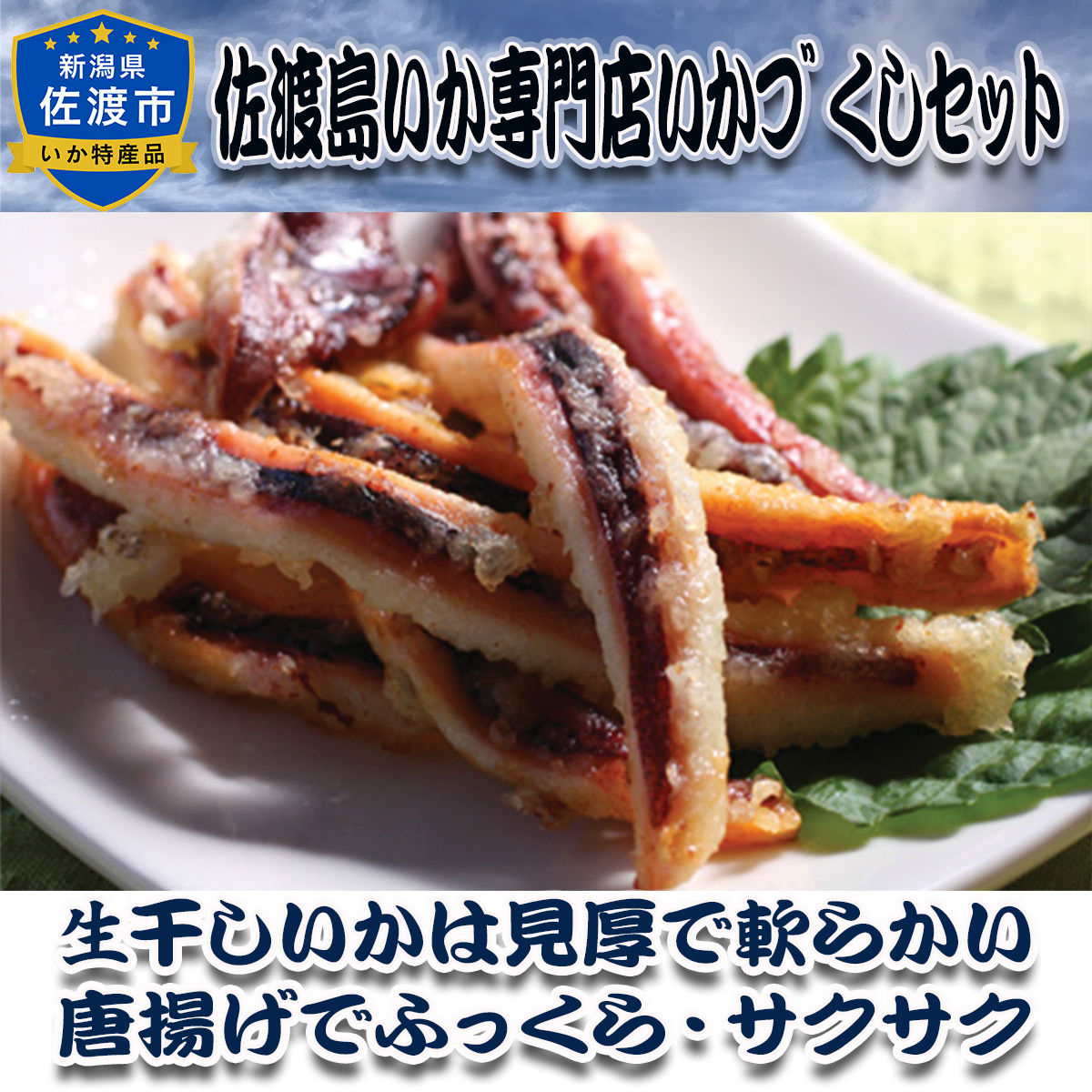 佐渡 天日塩使用 生干しいか 〔2枚(約250g)〕【北海道・九州地方・沖縄県・離島 配送不可】