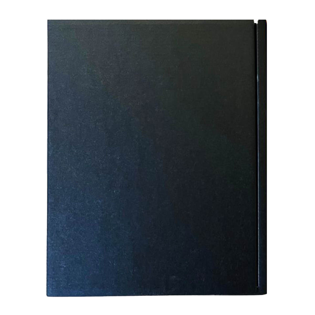 蔵王 クラフトビール YAMAGATAさくらんぼALE 〔350ml×6缶〕【沖縄県・離島 配送不可】