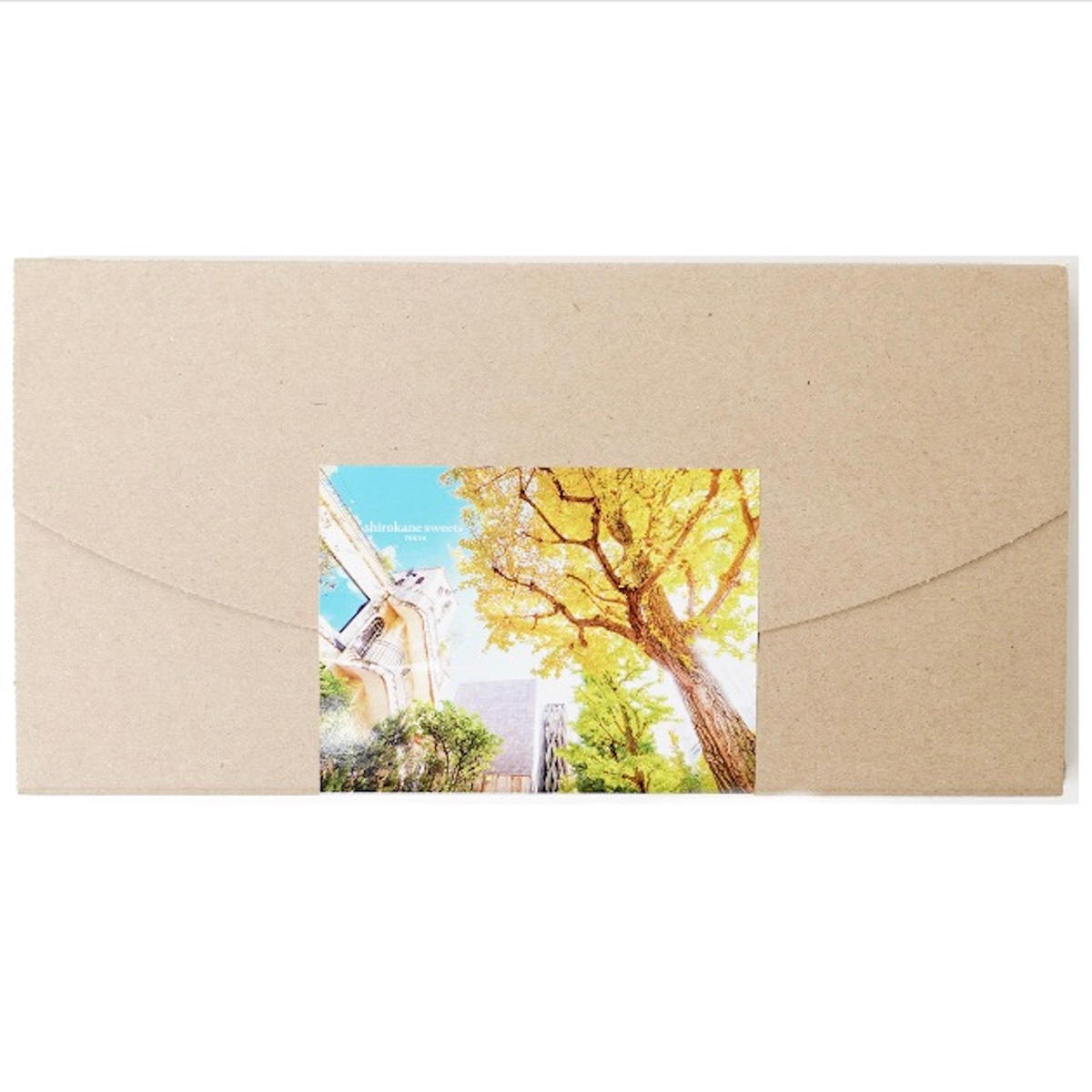 白金ブールドネージュ プレーン〔2個入×5〕